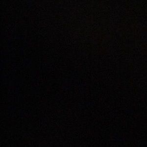 Meet your Posher, Leon